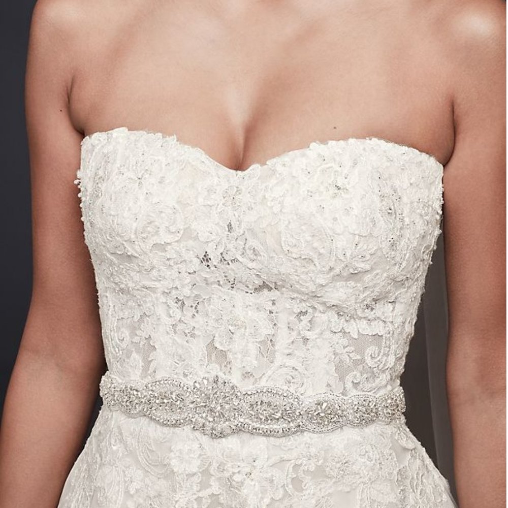 David's Bridal Sash NEVER WORN, NWT